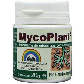 funghi e batteri positivi