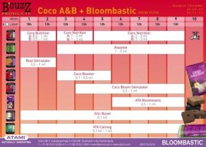 coco a&b bloombastic