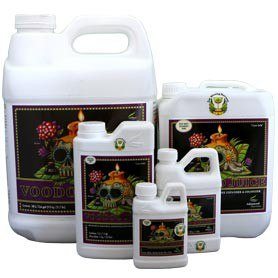 funghi e batteri benefici