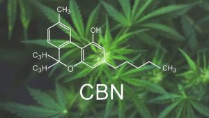 Cos’è il cannabinolo (CBN)?