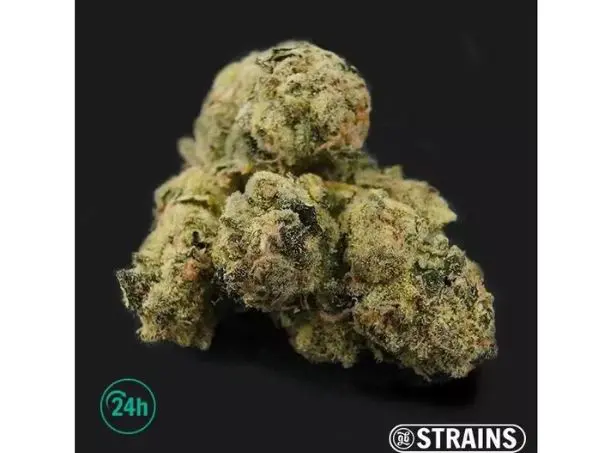 Migliori banche di semi regolari più potenti