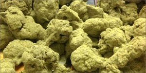 Differenze tra Moon Rocks e Sun Rocks