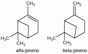 Cos’è il pinene? Cos’è il pinene?