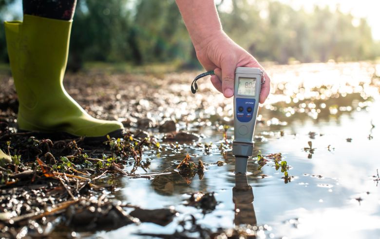 Notizie sulla cannabis