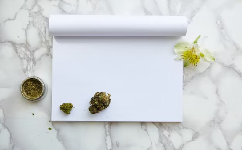 Come coltivare il CBD