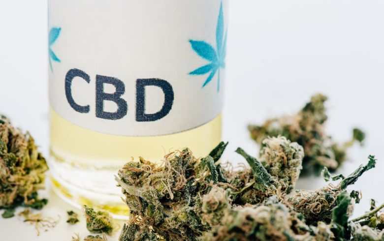 Notizie sulla cannabis