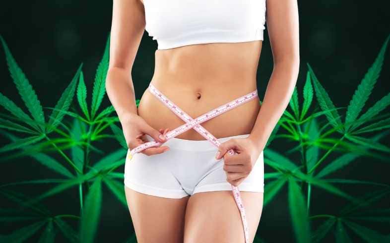 Notizie sulla cannabis