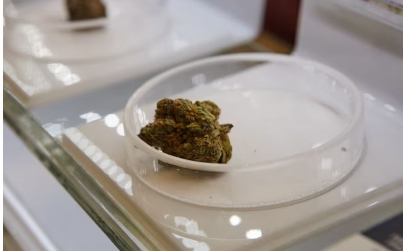 Scopri come potenziare l’effetto dell’ hashish