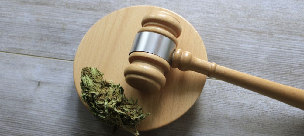 Marijuana in Germania