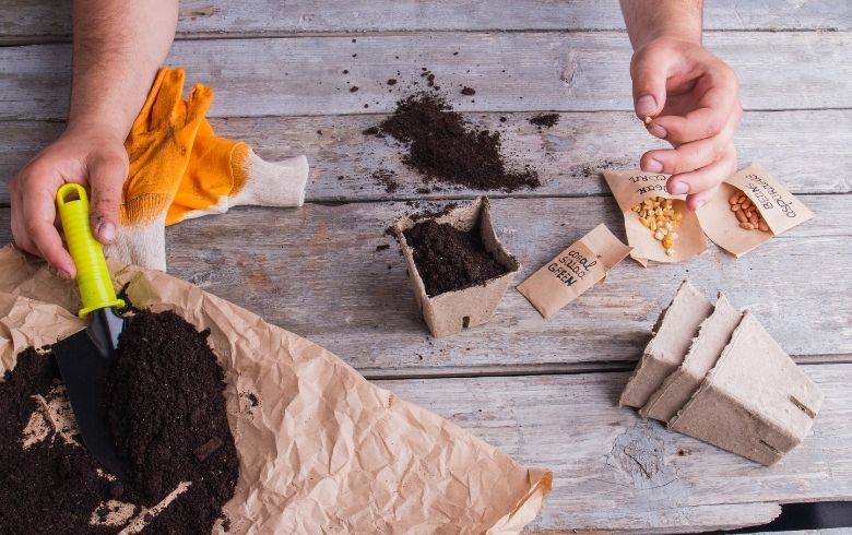 Notizie sulla cannabis