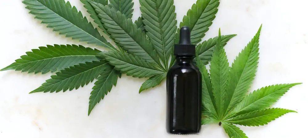 Come agisce il THC nell’organismo? 