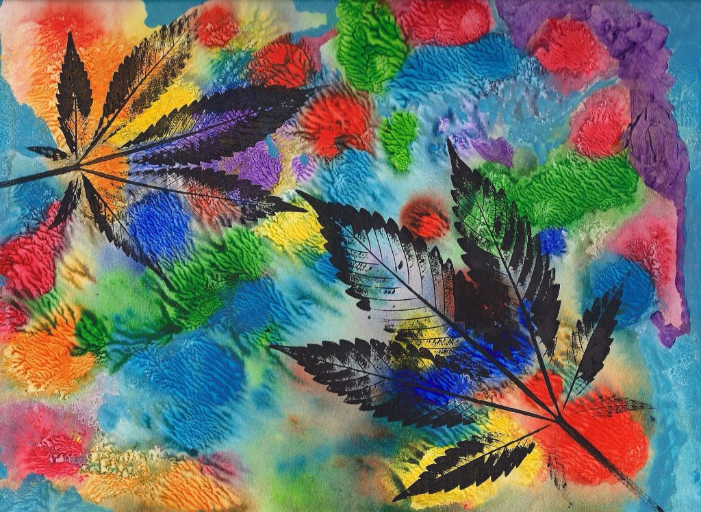 La nascita della marijuana allucinogena 