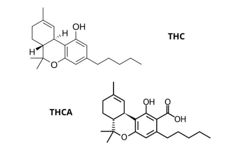 Marijuana medica