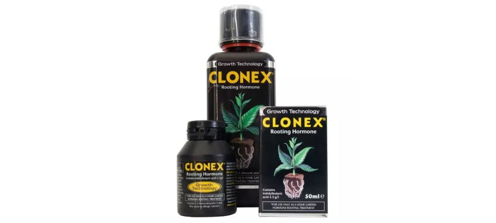 Ormoni di radicamento 