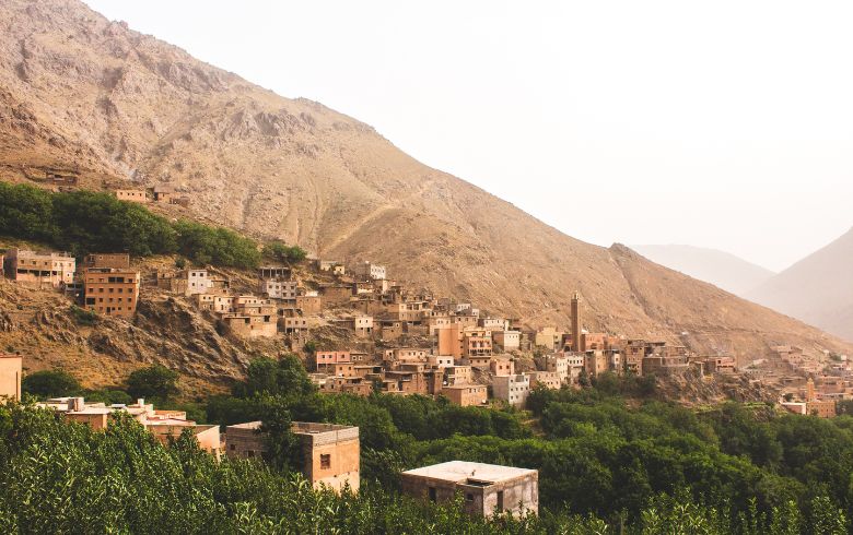 Notizie sulla cannabis