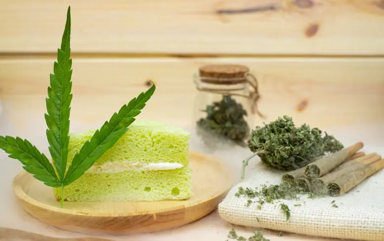 Ricette Ricette