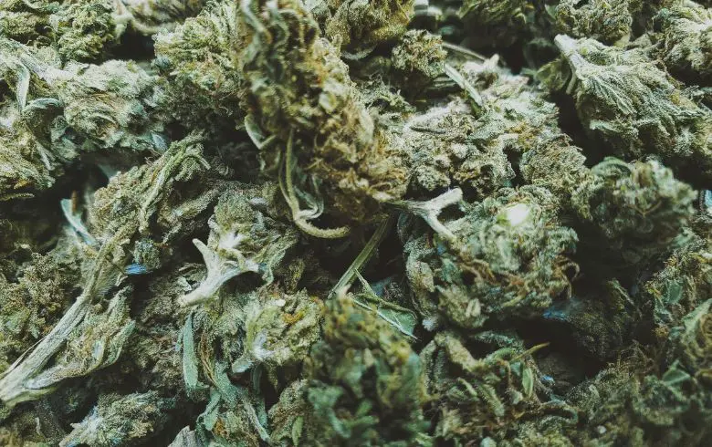 Marijuana medica