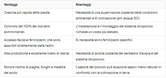 Vantaggi e svantaggi dell'idroponia