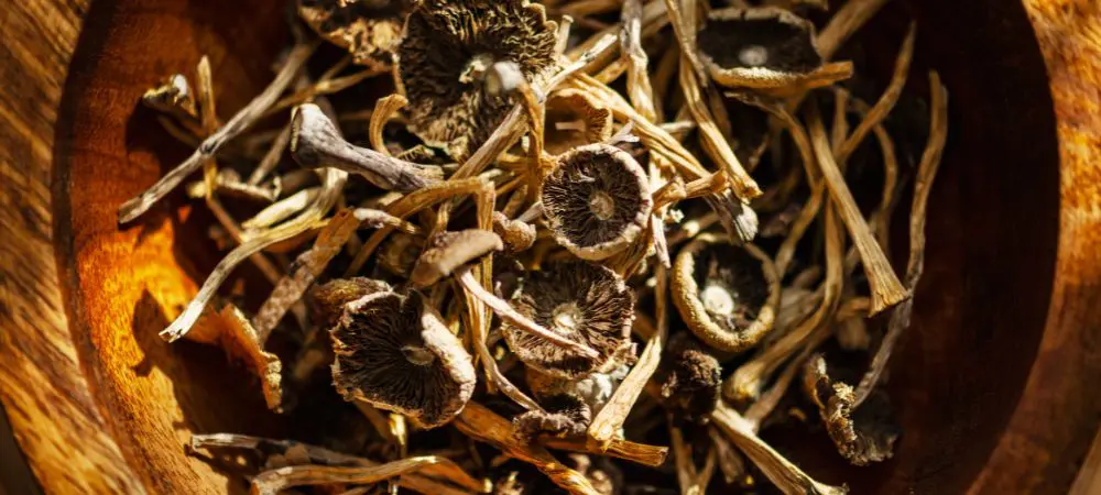 Lemon Tek ingredienti