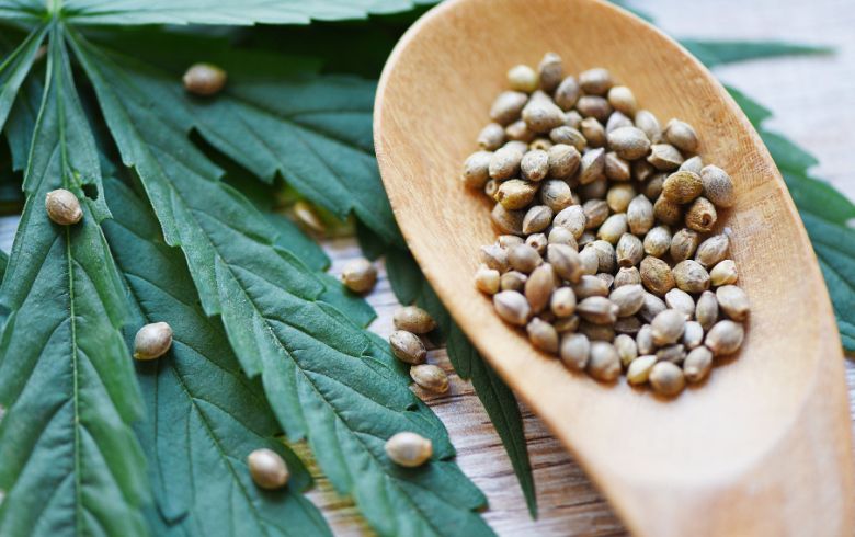 Notizie sulla cannabis