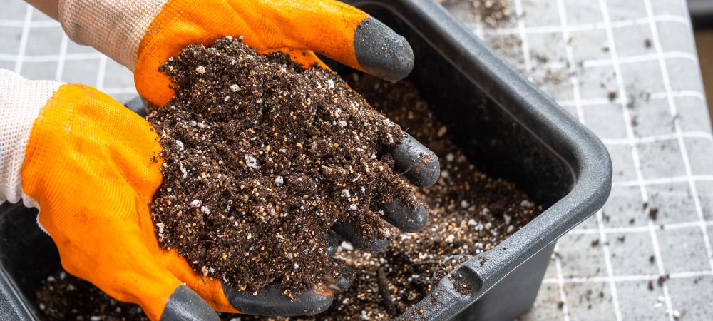 Perlite e vermiculite Perlite e vermiculite