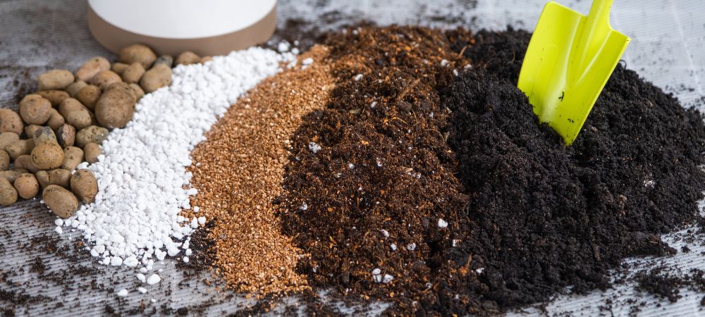 Perlite e vermiculite: caratteristiche Perlite e vermiculite: caratteristiche