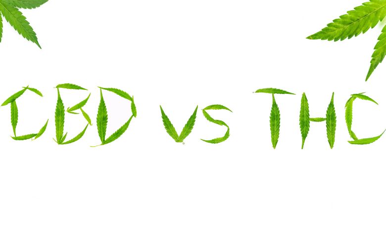 Notizie sulla cannabis