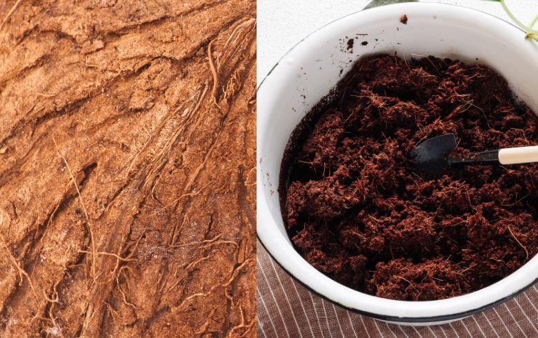 Notizie sulla cannabis