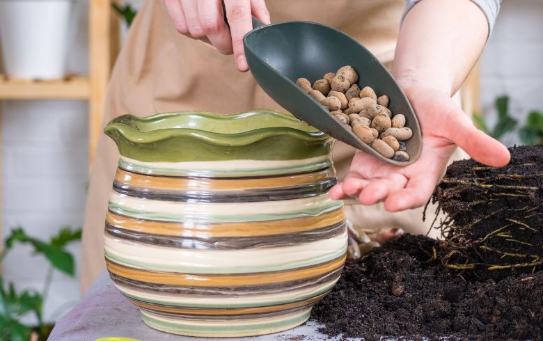 Notizie sulla cannabis