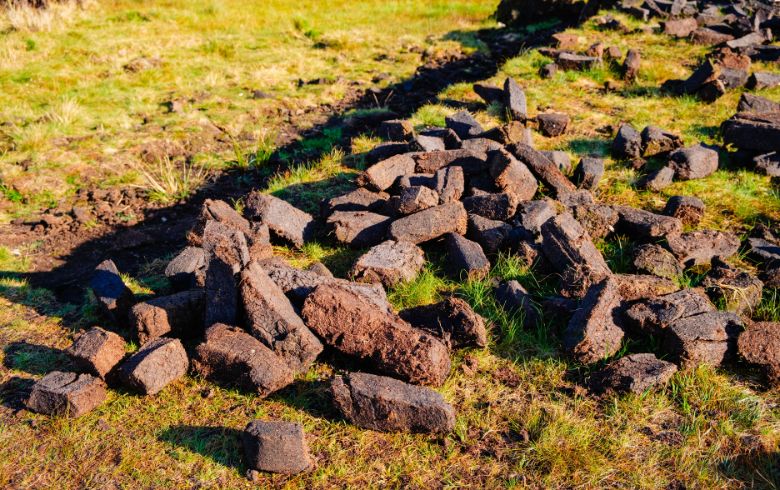 Notizie sulla cannabis