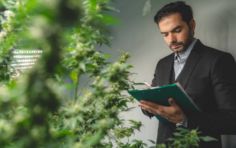 Notizie sulla cannabis