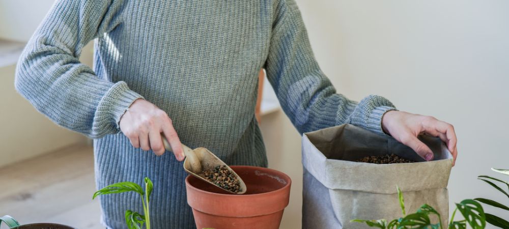 Tipi di substrati per coltivazione