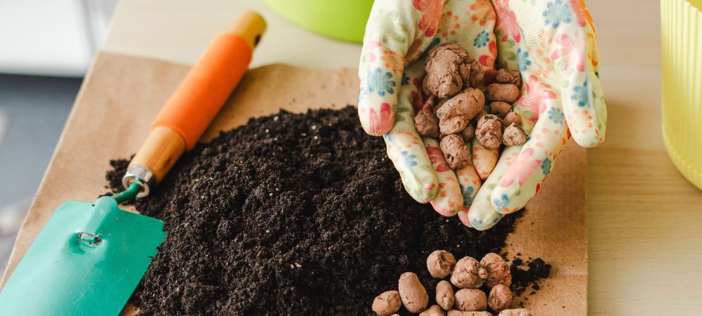 Argilla espansa: a cosa serve nella coltivazione Argilla espansa: a cosa serve nella coltivazione