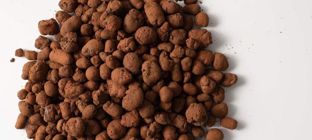 Argilla espansa: a cosa serve e come utilizzarla Argilla espansa: a cosa serve e come utilizzarla