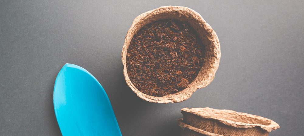 fibra di cocco con terra