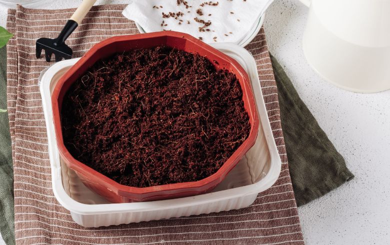 Notizie sulla cannabis