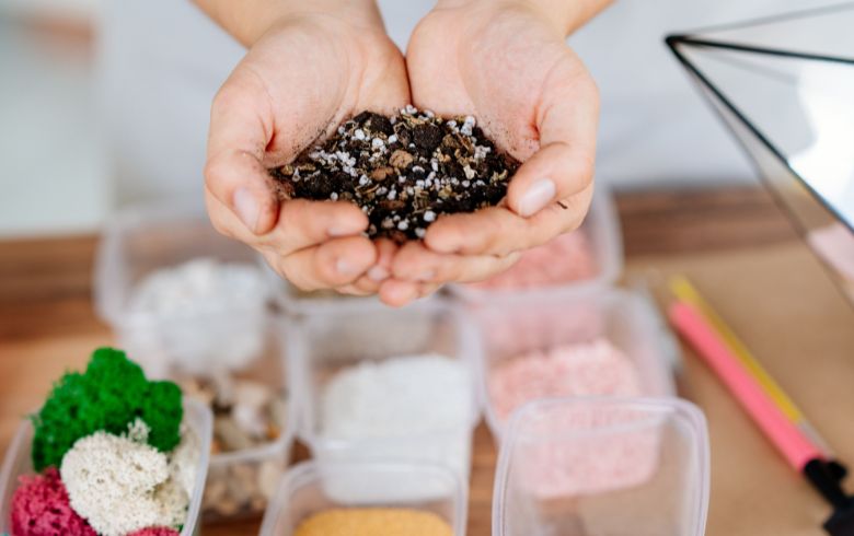 Notizie sulla cannabis