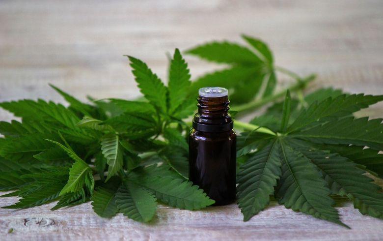 Notizie sulla cannabis