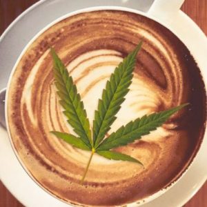 Schema café de cannabis
