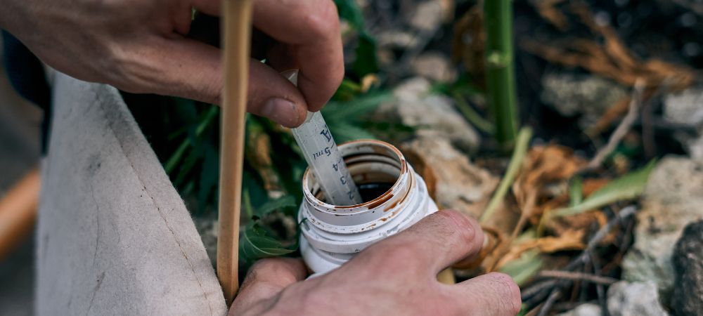 preparare fertilizzanti fatti in casa per la fioritura