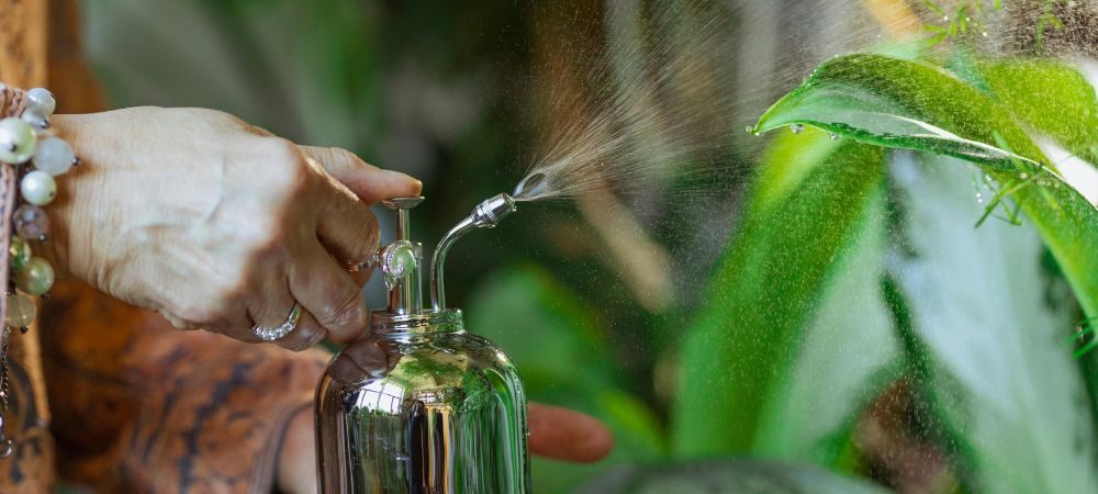 applicazione dell’insetticida con aceto e sapone