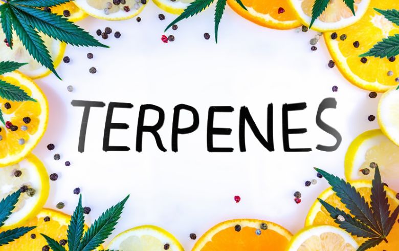 Notizie sulla cannabis