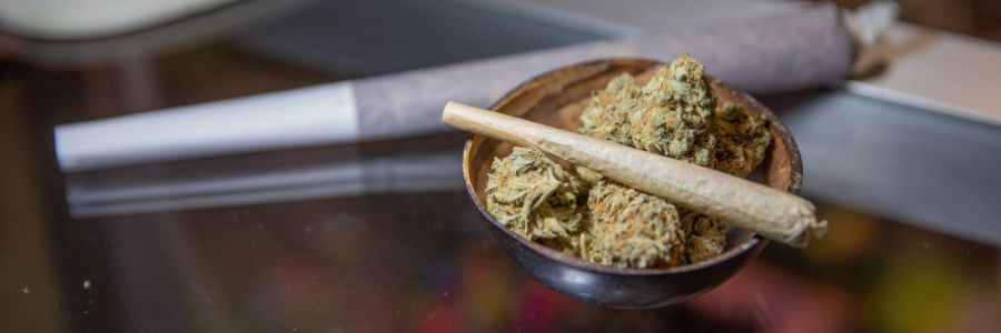 Notizie sulla cannabis