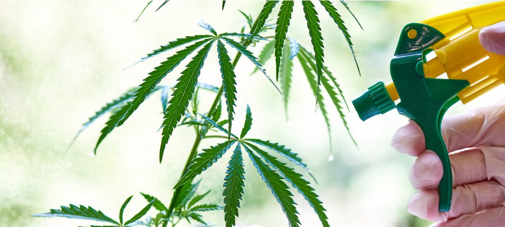 fertilizzanti General Hydroponics