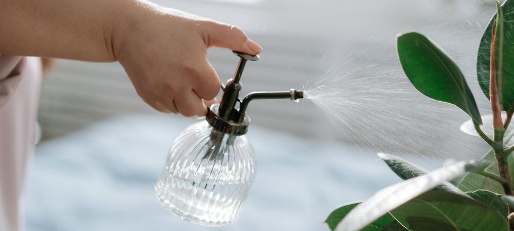 irrigare con cannella