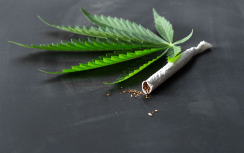 Notizie sulla cannabis