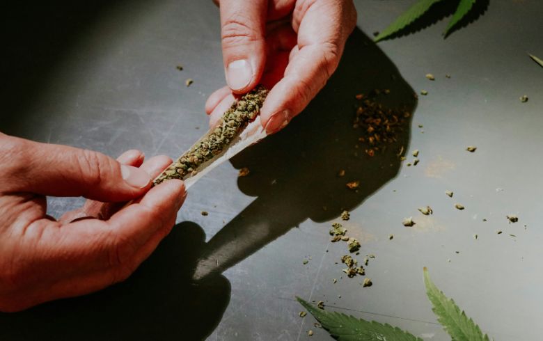 Notizie sulla cannabis