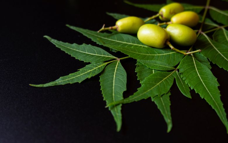 Notizie sulla cannabis