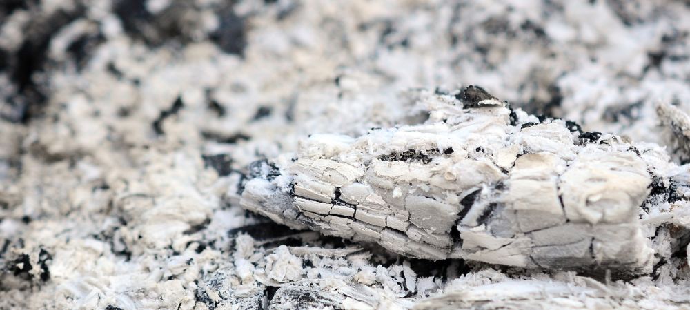 Cenere di legna come concime naturale per piante