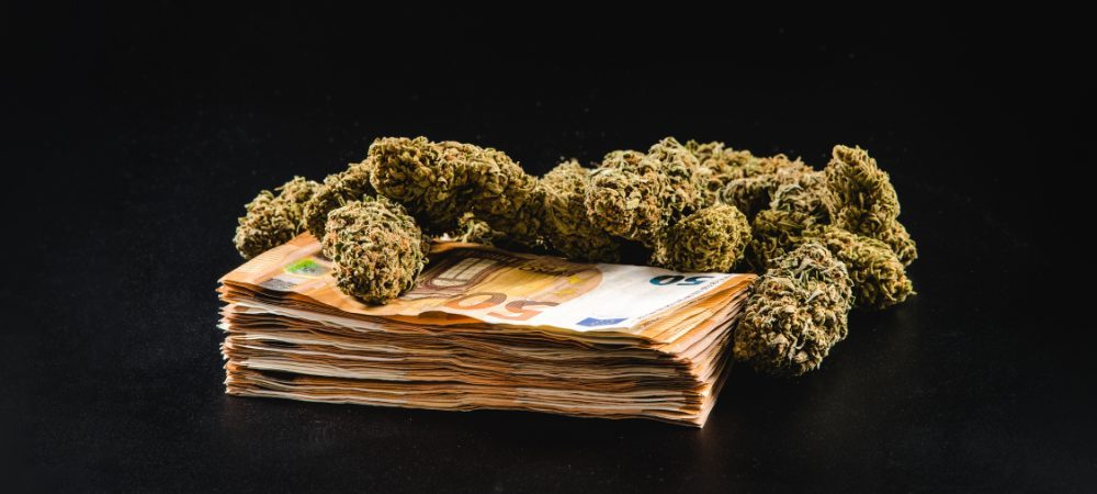 prezzo della cannabis